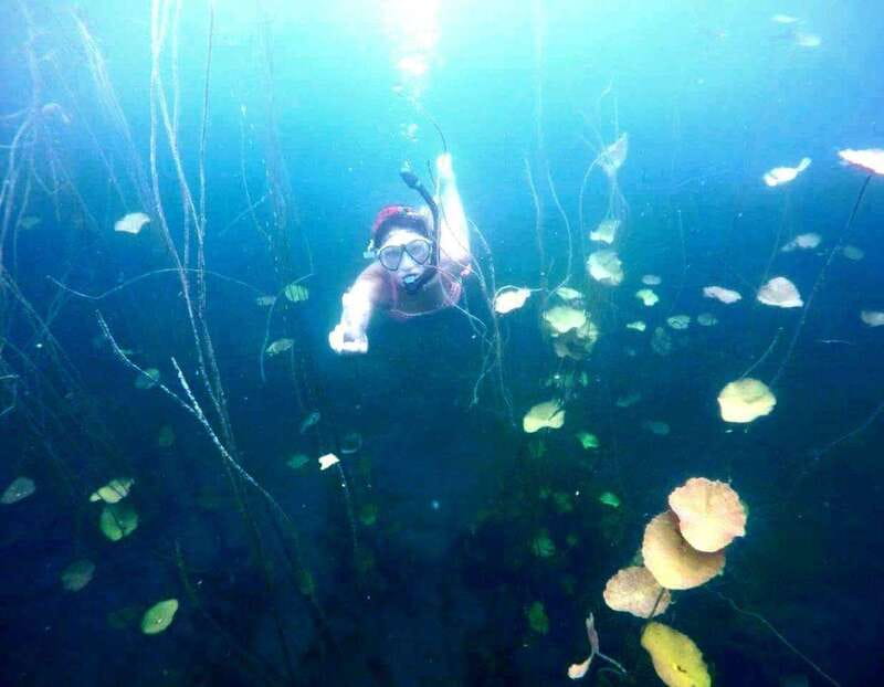 Bacalar: Magnificent Bacalar Lagoon Exclusive Boat Tour - A lagoon with color you can actually track