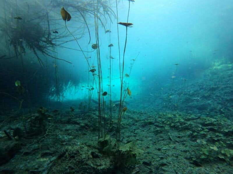 Bacalar: Magnificent Bacalar Lagoon Exclusive Boat Tour - Rapidity and drama in the Rapids Channel and Pirates Channel