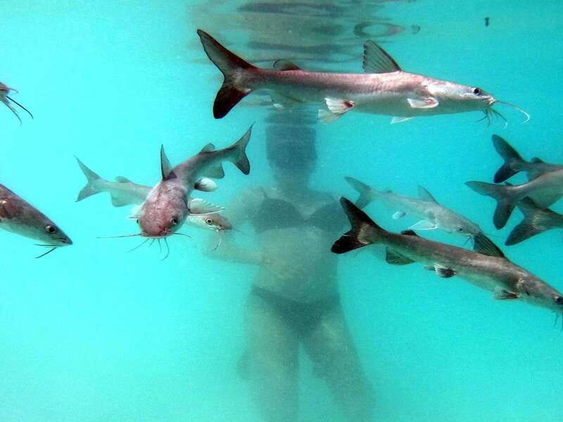 Bacalar: Magnificent Bacalar Lagoon Exclusive Boat Tour - Rivers and ecosystems: Bacalar as a connected system