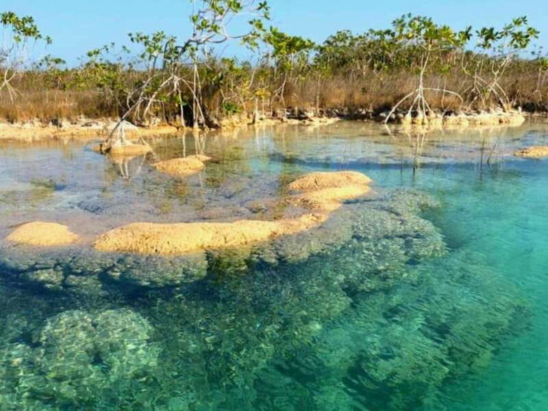 Bacalar: Magnificent Bacalar Lagoon Exclusive Boat Tour - Price and logistics: what $127 really buys