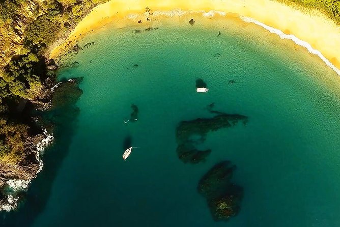 Baia do Sancho Boat Tour - Baía do Sancho boat tour: what you’re really paying for