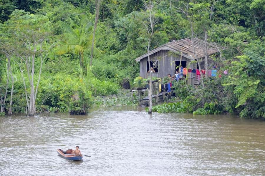 Belém: Half-Day Furos Boat Tour & Riverside Community Visit - Key Things I’d Book This For