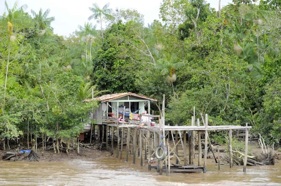 Belém: Half-Day Furos Boat Tour & Riverside Community Visit - Combú Island Cruising: What to Watch From the Boat