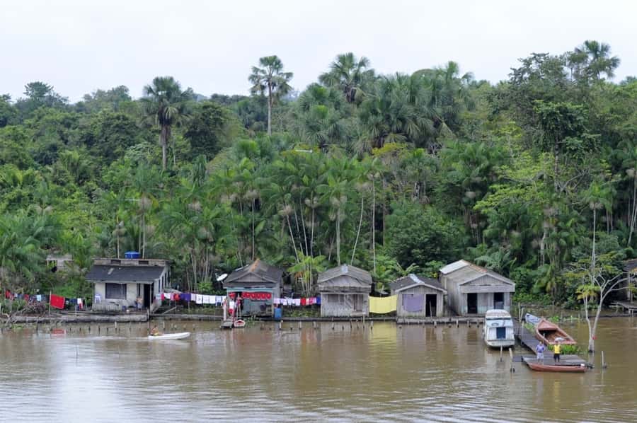 Belém: Half-Day Furos Boat Tour & Riverside Community Visit - The Tour Flow: Timing, Pace, and What You’ll Feel Day-of