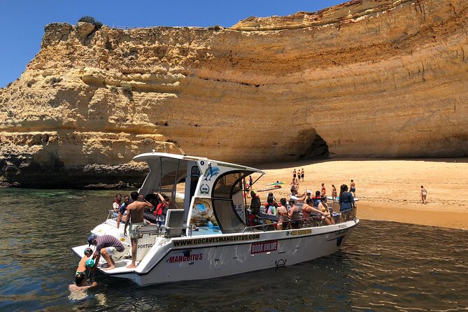Benagil Cave Boat Tour - Catamarans or Rib - 2 H From Portimão - Dolphins: how likely are you to see them?