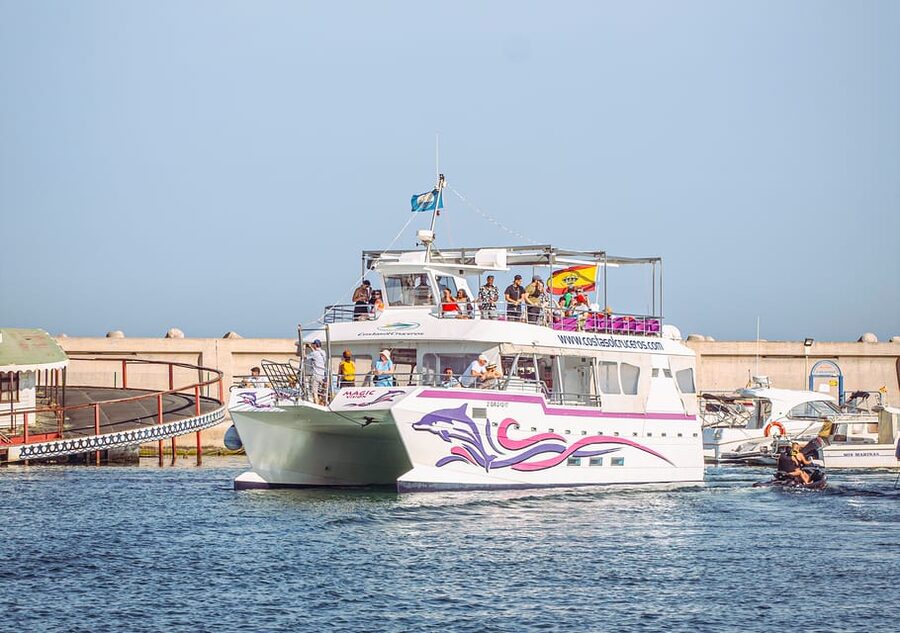 Benalmadena: Dolphin Watching Boat Tour - Key Highlights You’ll Care About