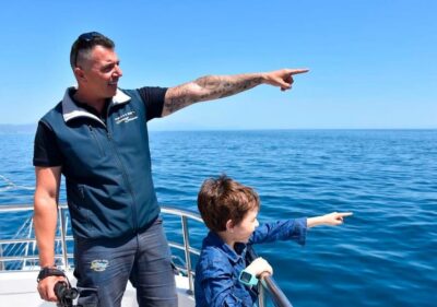 Benalmadena: Dolphin Watching Boat Tour - Where You Start at Costasol Cruceros (And What to Do First)
