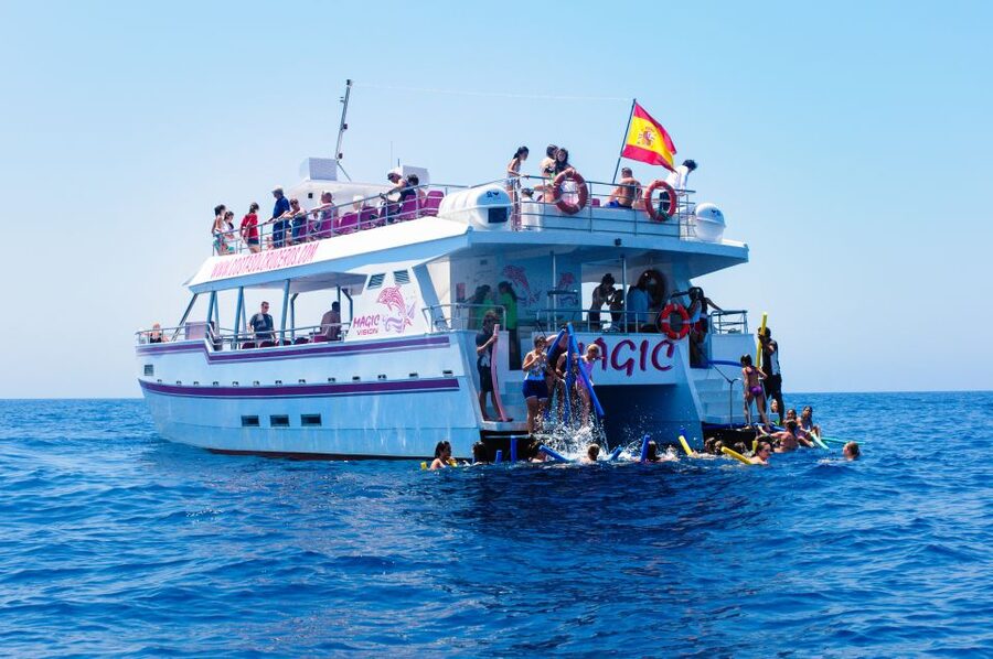 Benalmadena: Dolphin Watching Boat Tour - Onboard Comfort: Shade, Underwater Windows, and a Helpful Crew