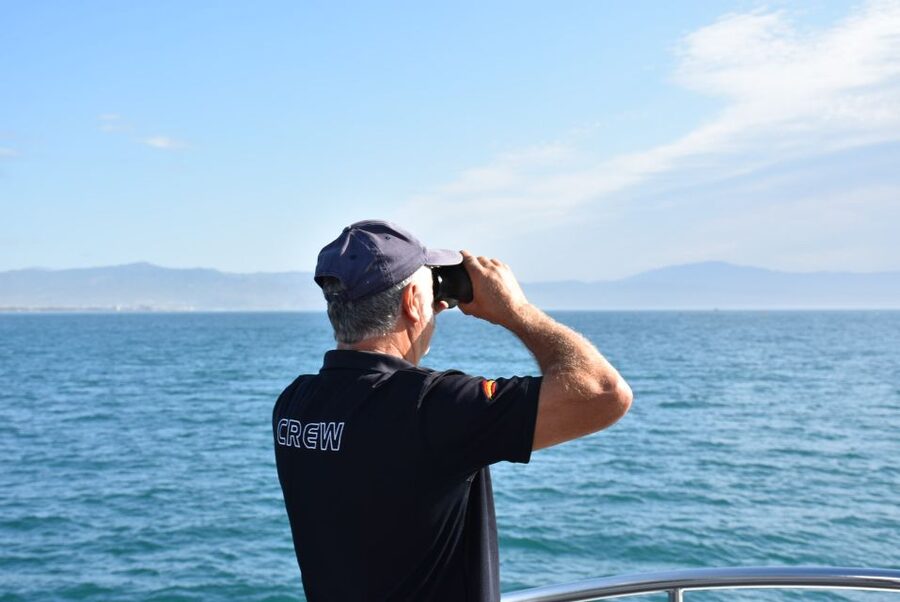 Benalmadena: Dolphin Watching Boat Tour - The Swim Bonus: Open-Water Dip in Summer (If Conditions Let It Happen)