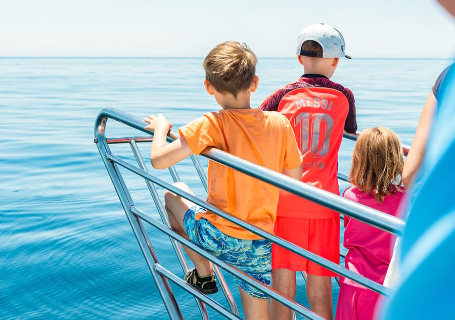 Benalmadena: Dolphin Watching Boat Tour - Price and Value: Why This One Works for Many Budgets