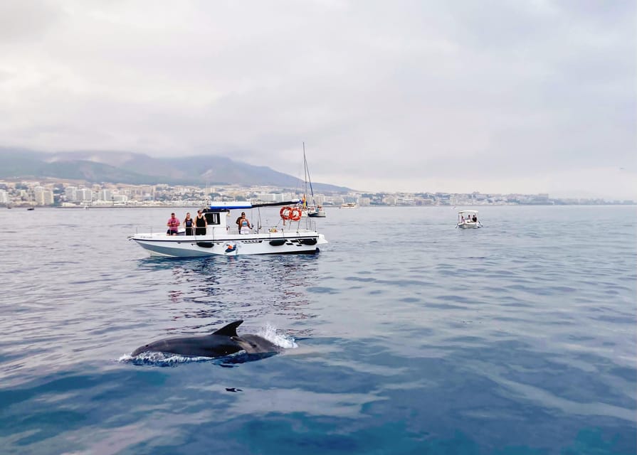 Benalmadena: Private Boat Trip – Dolphins, Drinks & Snacks - A private boat day on the Costa del Sol, without the crowd math