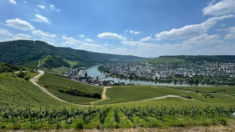 Bernkastel: 1-hour panoramic boat tour Lieser, Mülheim and back - Food and drinks onboard: what’s available and how to plan