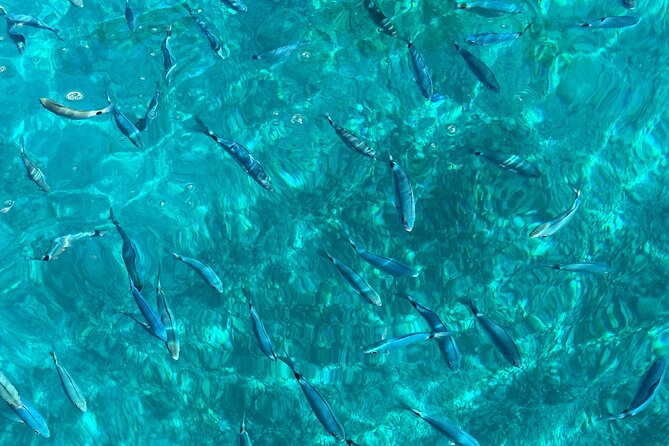 Bespoke private boat tour from Split & Trogir with a local expert - Blue Cave: why you won’t go, and how to plan around it