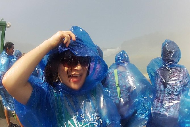 Best Niagara Falls US Tour W/Boat Ride, Cave & More Wonders! - Niagara From the Gorge to the Tower: the big idea