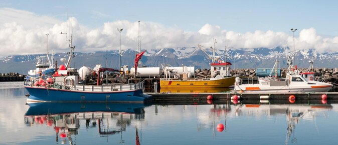 Big Whales & Puffins RIB boat tour from Húsavík - Key things to know before you go