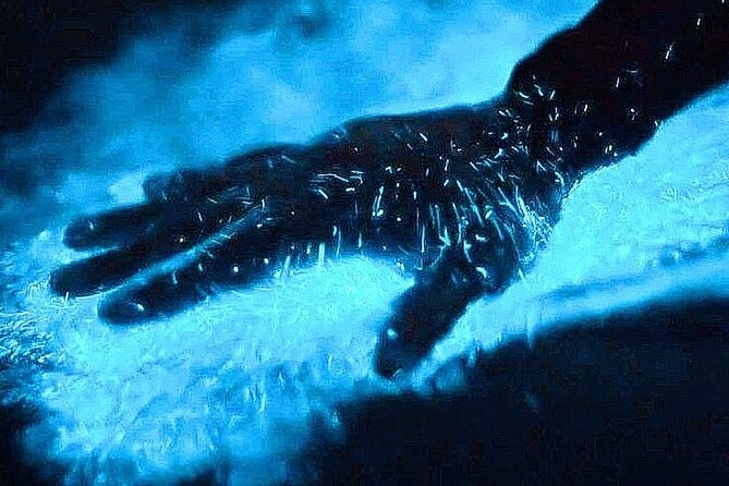 Bioluminescence & sunset local boat tour to Los Arcos Sanctuary - Key things to know before you go