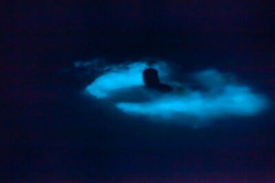 Bioluminescence & sunset local boat tour to Los Arcos Sanctuary - At the Marine Sanctuary: Local Guide Stories Around the Arches