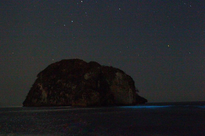 Bioluminescence & sunset local boat tour to Los Arcos Sanctuary - Bonus Nature: Whales, Sea Turtles, and Bird Moments