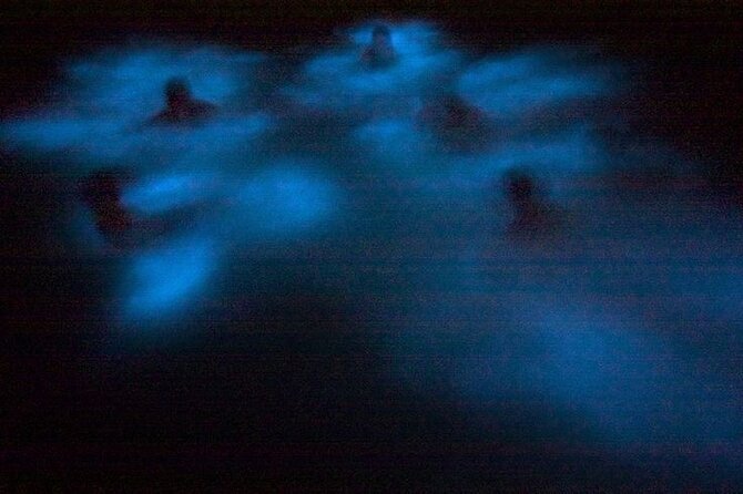 Bioluminescence & sunset local boat tour to Los Arcos Sanctuary - Price and Value: What $83.99 Buys You in Real Life