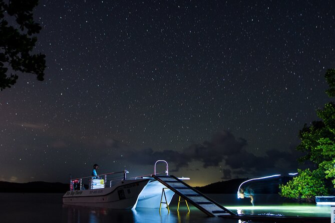 Bioluminescent Boat Tour in Mosquito Bay, Vieques - Key highlights to know before you go