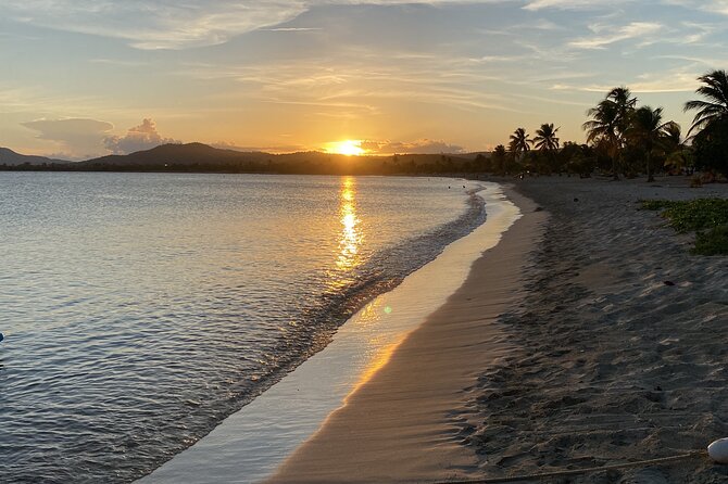Bioluminescent Boat Tour in Mosquito Bay, Vieques - Mosquito Bay glow: what you’re actually paying for