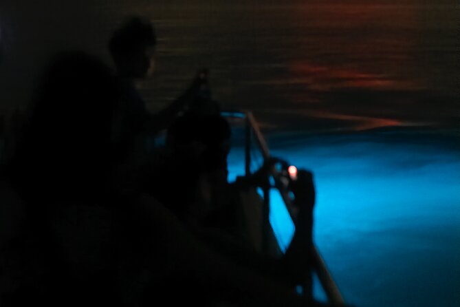 Bioluminescent Boat Tour in Mosquito Bay, Vieques - The electric catamaran ride: dry, calm, and easy to enjoy