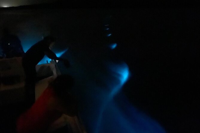 Bioluminescent Boat Tour in Mosquito Bay, Vieques - Star time: when the night sky makes it a two-for-one