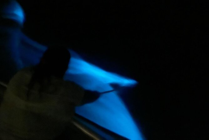 Bioluminescent Boat Tour in Mosquito Bay, Vieques - What the timing feels like once you’re on Vieques