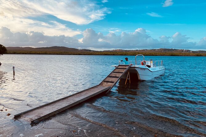 Bioluminescent Boat Tour in Mosquito Bay, Vieques - Price and value: $100 plus the real add-ons