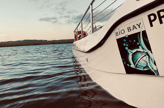 Bioluminescent Boat Tour in Mosquito Bay, Vieques - Small-group dynamics: why 6 to 9 people is a sweet spot