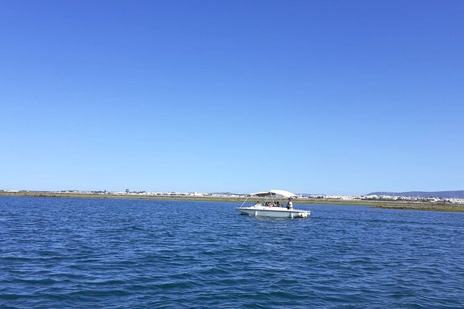 Birdwatching in Ria Formosa - Eco Boat Tour from Faro - Solar-powered silence: what it changes for bird watching