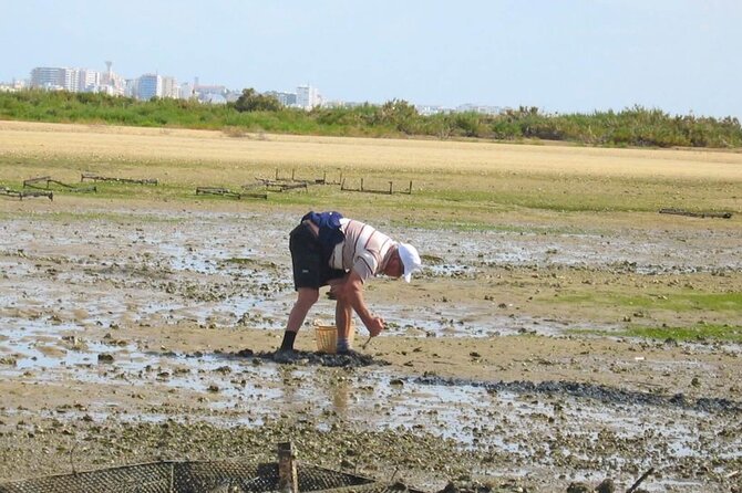 Birdwatching in Ria Formosa - Eco Boat Tour from Faro - Bird photography and spotting tips (based on what works here)