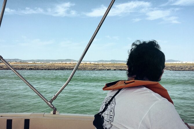 Birdwatching in Ria Formosa - Eco Boat Tour from Faro - Should you book this eco boat birdwatching tour from Faro?