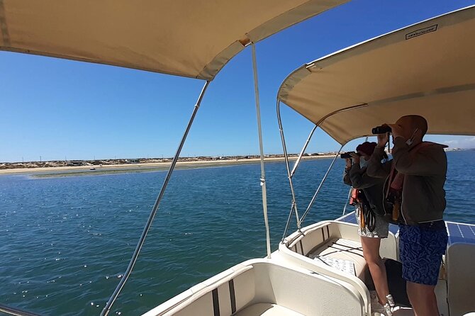 Birdwatching in Ria Formosa - Eco Boat Tour from Faro - The guides and the included gear that actually matter