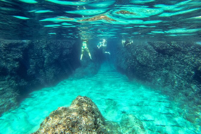 Blue Cave, Green Cave & Lopud Beach small group Speed boat Tour - Price and Value: Does $84.65 Make Sense for This Route?