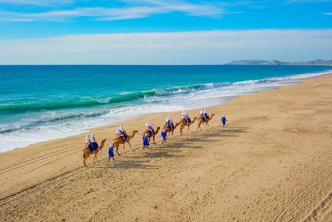 Boat Ride to the Arch and Beach Camel Ride in Cabo San Lucas - Quick hits you’ll care about