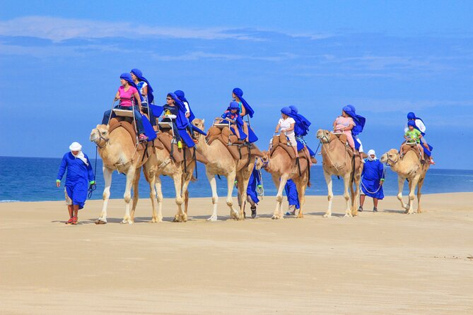 Boat Ride to the Arch and Beach Camel Ride in Cabo San Lucas - Practical Tips to Have a Smoother Day