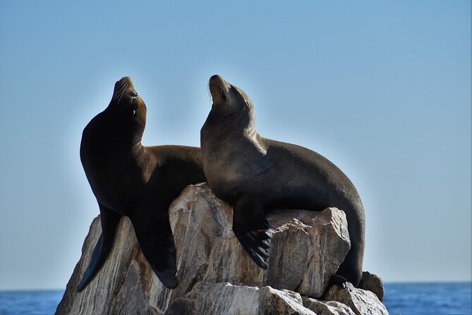 Boat ride to the Arch and Snorkel - Cabo’s Arch and Snorkel: Why This Trip Feels Worth Your Time