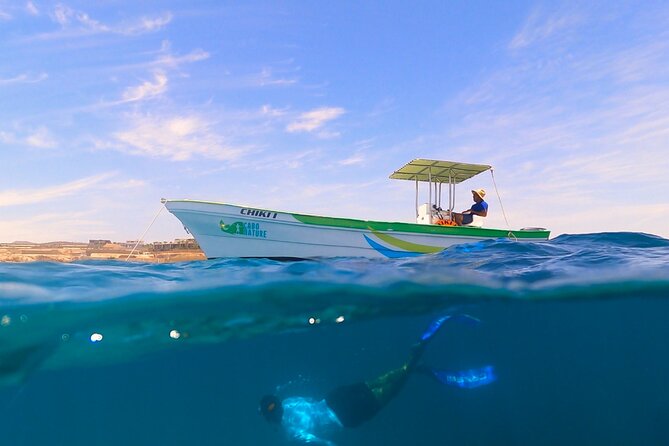 Boat ride to the Arch and Snorkel - El Arco de Cabo San Lucas: The Arch Moment and the Photo Strategy