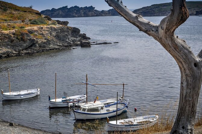 Boat through Cap de Creus and Port Lligat visit Cadaqués 1H30 - Price and logistics: does $42.24 feel fair?