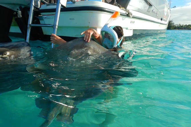 Boat tour 1/2 day Excursion in the lagoon of Moorea - Key highlights I’d plan around