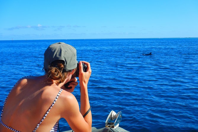 Boat tour 1/2 day Excursion in the lagoon of Moorea - Motu Tiahura and the Coral Garden snorkel stop