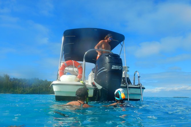 Boat tour 1/2 day Excursion in the lagoon of Moorea - Stingrays and black tip sharks: the real wow moment