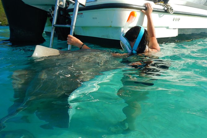 Boat tour 1/2 day Excursion in the lagoon of Moorea - Price and value: what $121.46 buys you in Moorea time