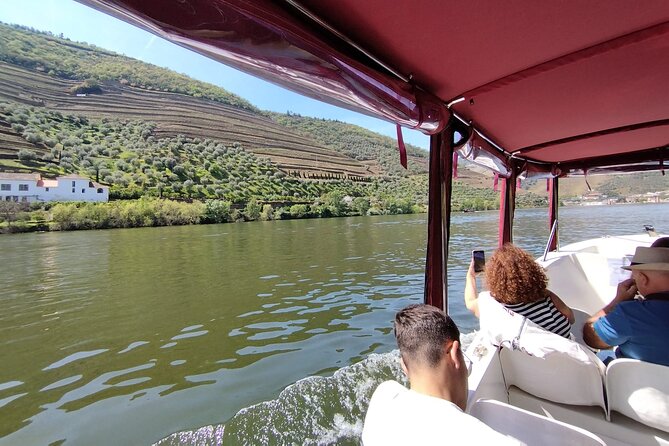 Boat tour 50min through the river Douro in Pinhão - On board with a small group: what the experience feels like