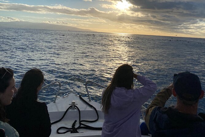 Boat Tour: Cave Tour on The North Coast - Guides, safety, and the small extras that matter