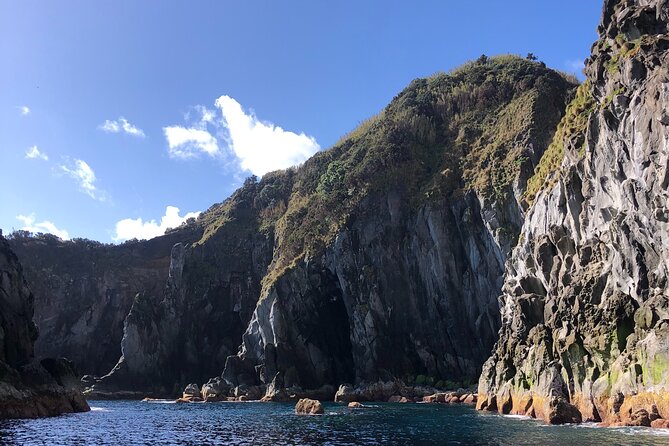 Boat Tour: Cave Tour on The North Coast - Wildlife sightings: not guaranteed, but exciting when they happen