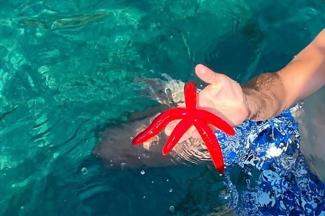Boat tour Giardini Naxos Taormina Isola Bella Blue Grotto - Value check: is $48.37 for 2 hours a smart buy?