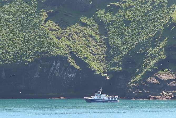 Boat Tour in Vestmannaeyjar - Wildlife watching on open water: puffins, seabirds, and the camera reality