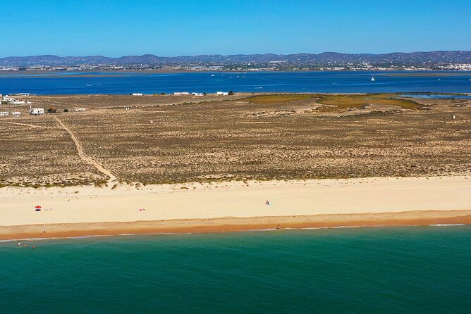 Boat Tour of 2 Ria Formosa Islands: Culatra and Armona - Onboard: shaded comfort, English guide talk, and spotting wildlife